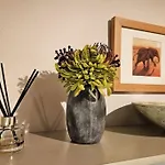 Homely 4 Bed Characterful *
